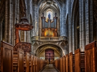 Parigi Cattedrale di Notre Dame - Foto di Peter H da Pixabay 