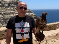 Malta - scuola di falconeria